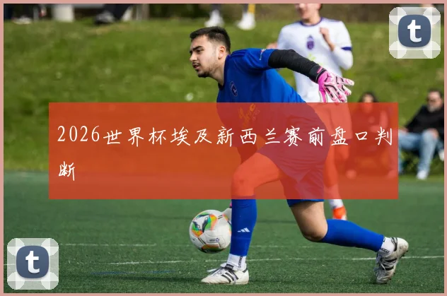 2026世界杯埃及新西兰赛前盘口判断