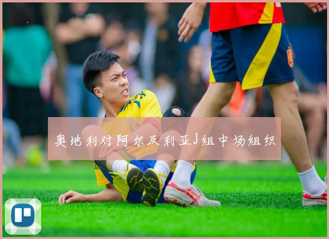 奥地利对阿尔及利亚J组中场组织