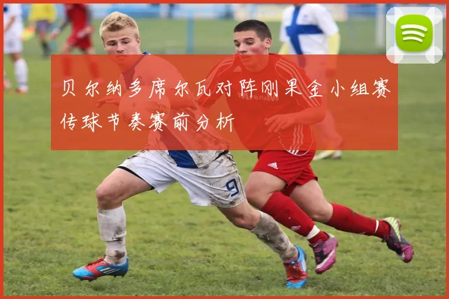 贝尔纳多席尔瓦对阵刚果金小组赛传球节奏赛前分析