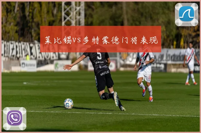 莱比锡vs多特蒙德门将表现