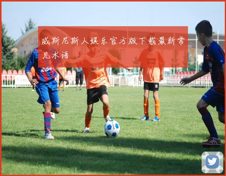 威斯尼斯人娱乐官方版下载最新常见术语