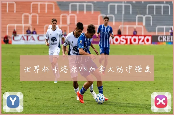 世界杯卡塔尔vs加拿大防守强度