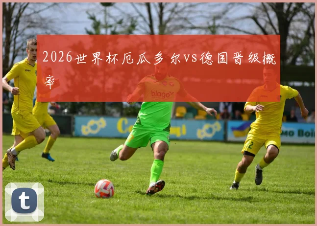 2026世界杯厄瓜多尔vs德国晋级概率